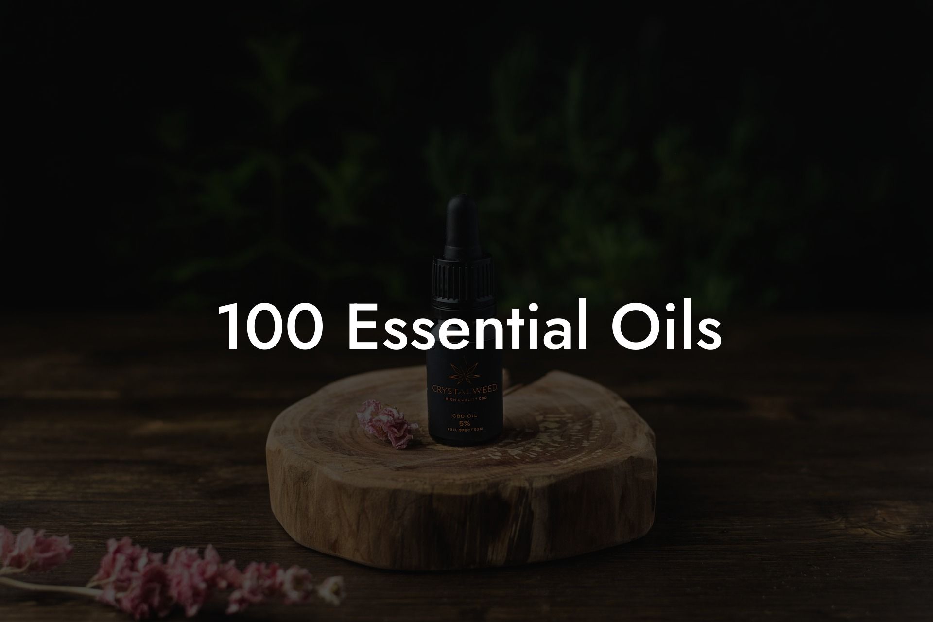 100 Essential Oils