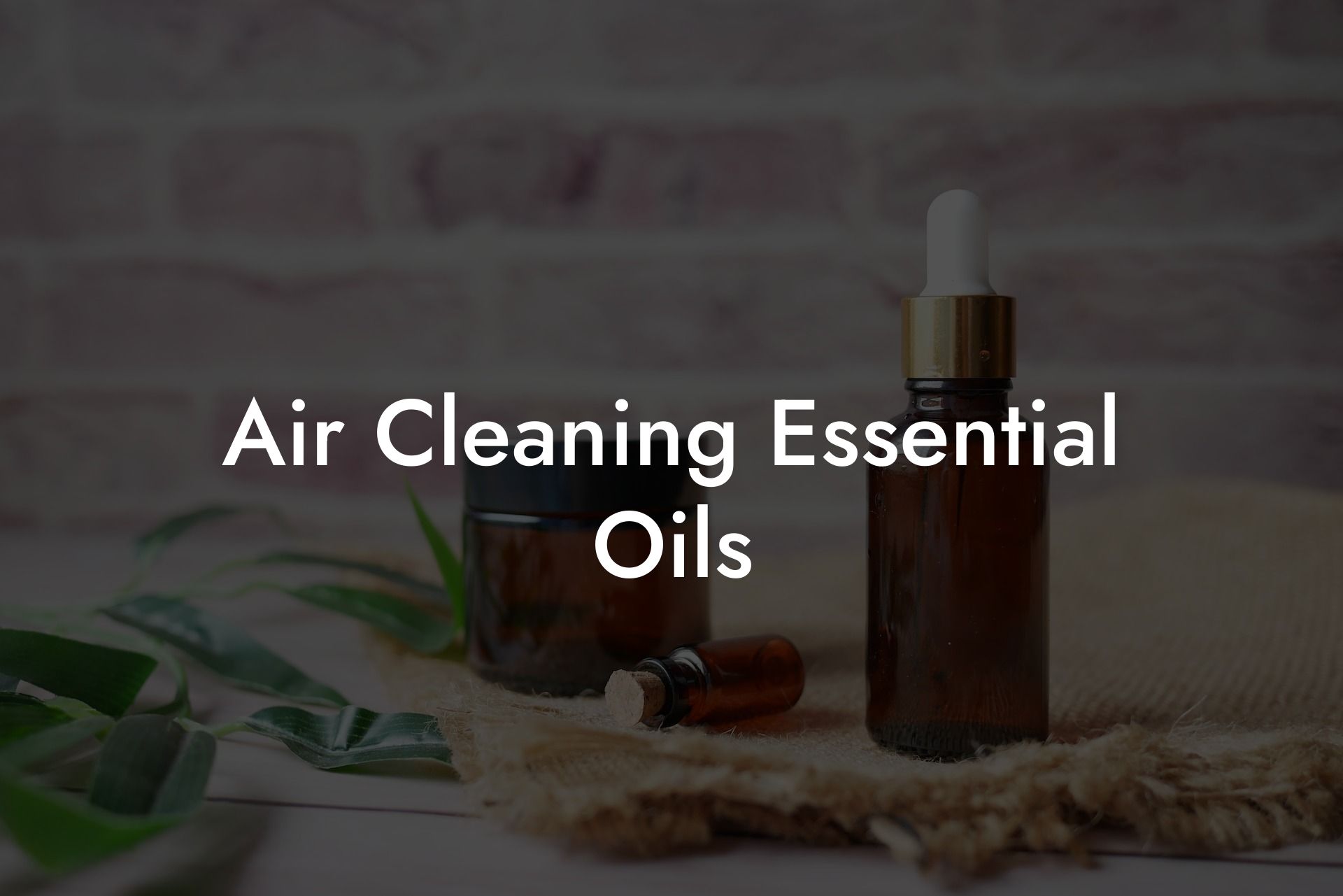 Air Cleaning Essential Oils