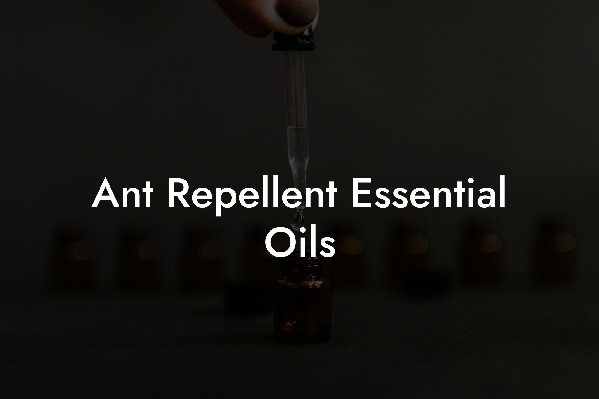 Ant Repellent Essential Oils