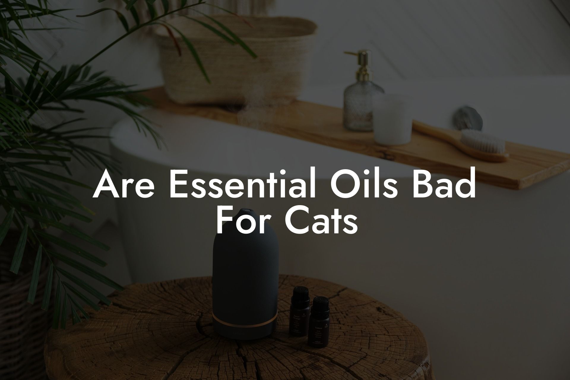 Are Essential Oils Bad For Cats