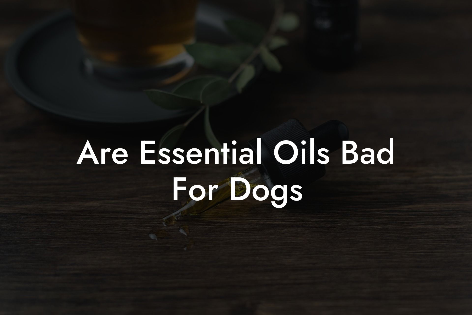 Are Essential Oils Bad For Dogs