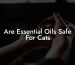 Are Essential Oils Safe For Cats
