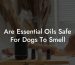 Are Essential Oils Safe For Dogs To Smell