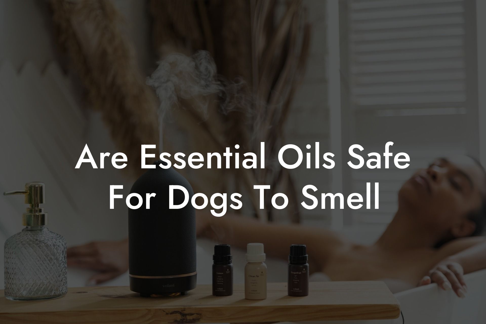 Are Essential Oils Safe For Dogs To Smell