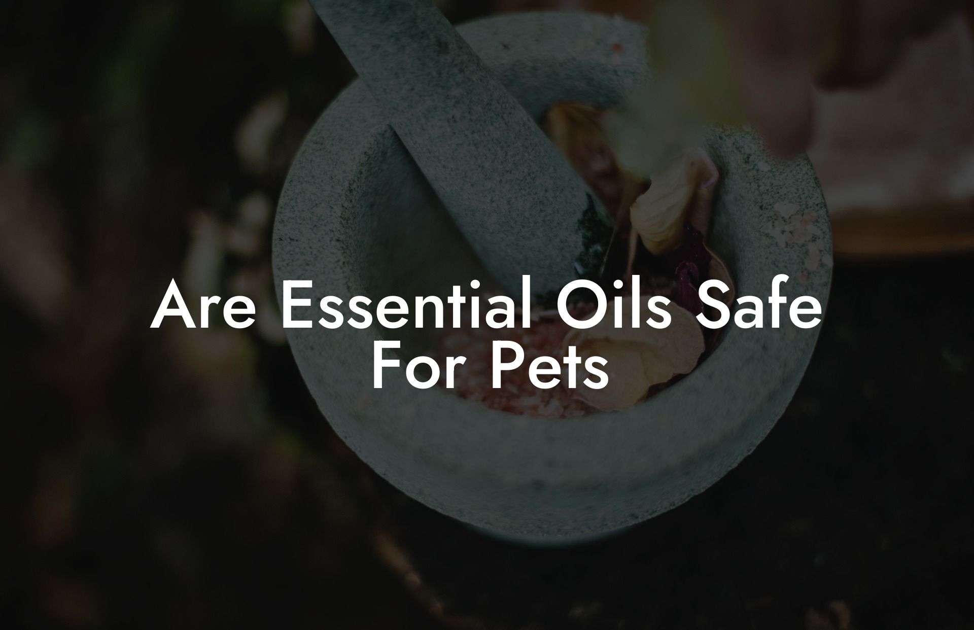 Are Essential Oils Safe For Pets
