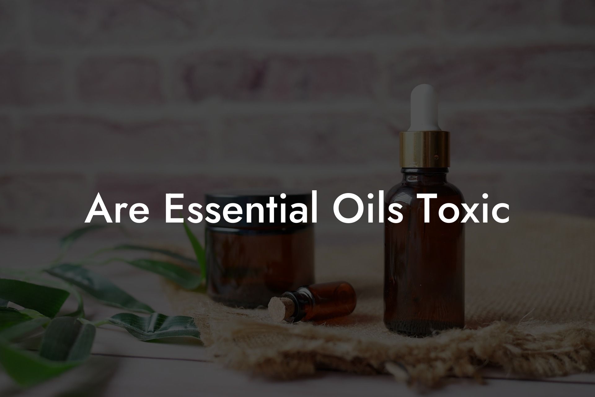 Are Essential Oils Toxic