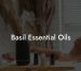 Basil Essential Oils