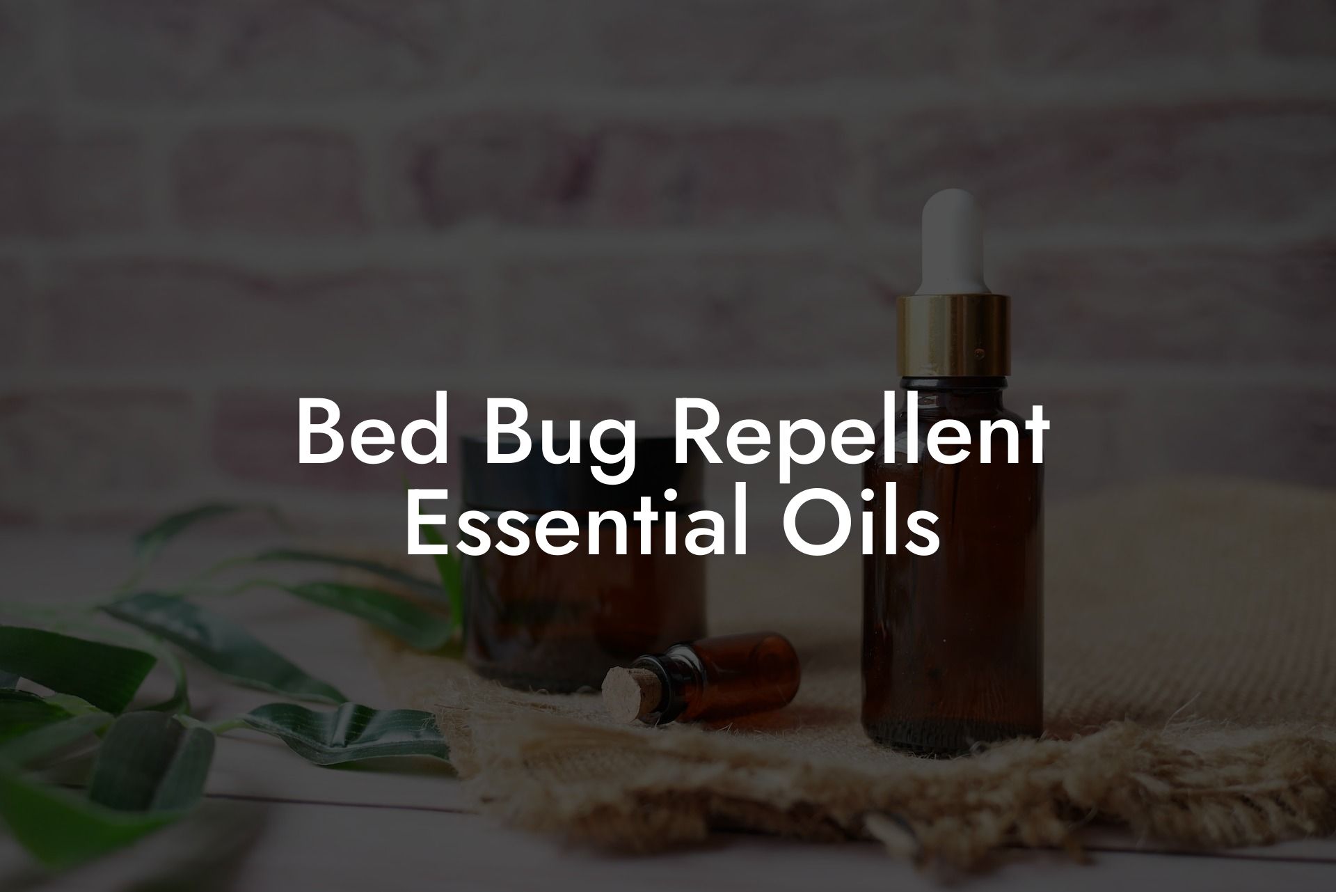 Bed Bug Repellent Essential Oils