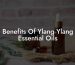 Benefits Of Ylang Ylang Essential Oils