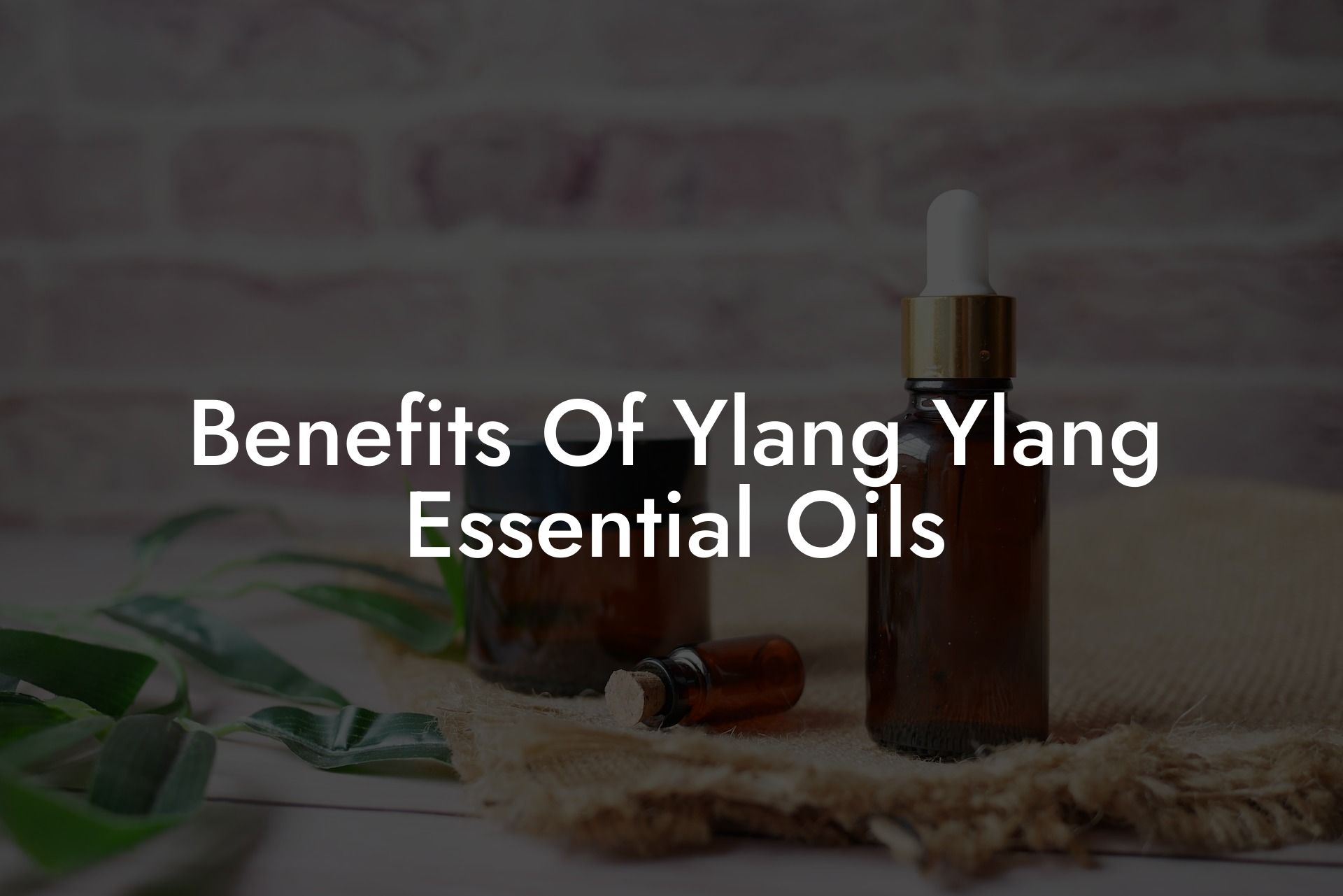 Benefits Of Ylang Ylang Essential Oils
