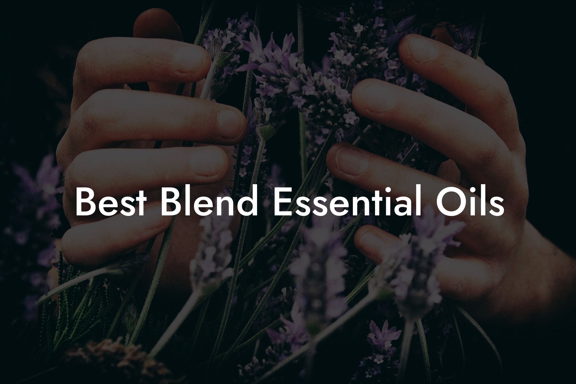 Best Blend Essential Oils
