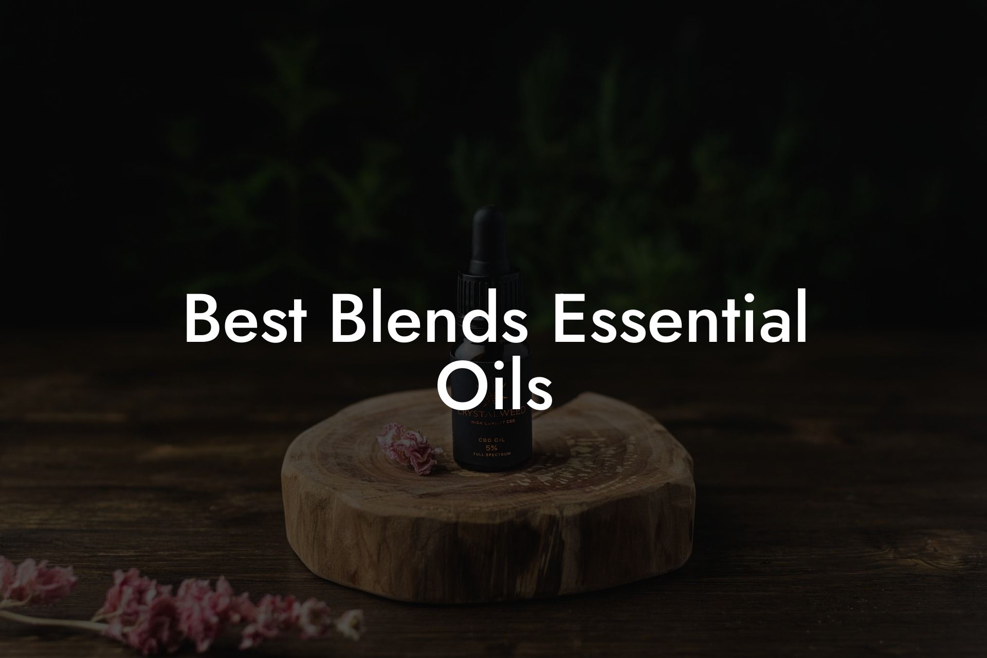 Best Blends Essential Oils