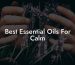 Best Essential Oils For Calm