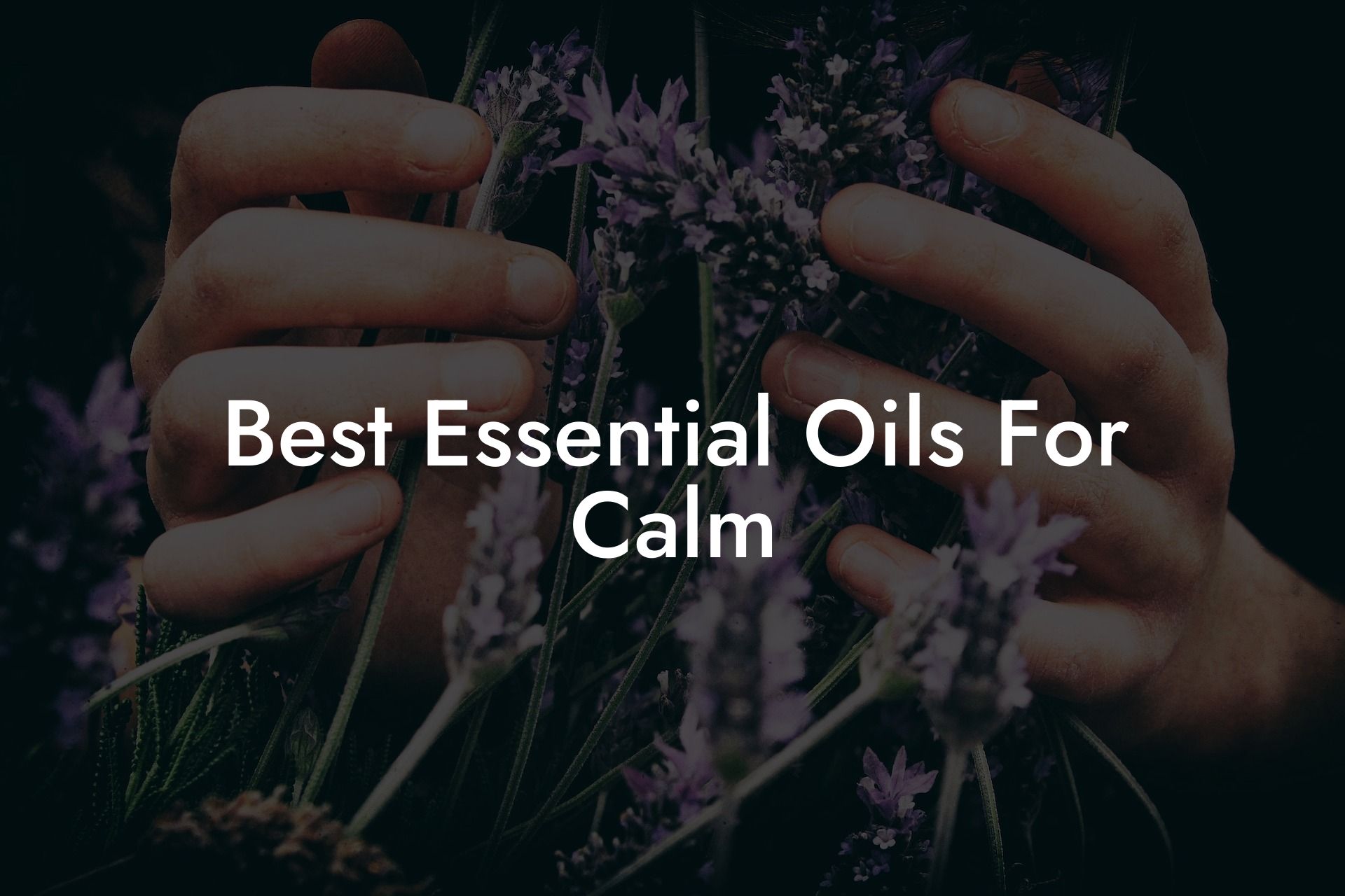 Best Essential Oils For Calm