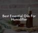 Best Essential Oils For Humidifier