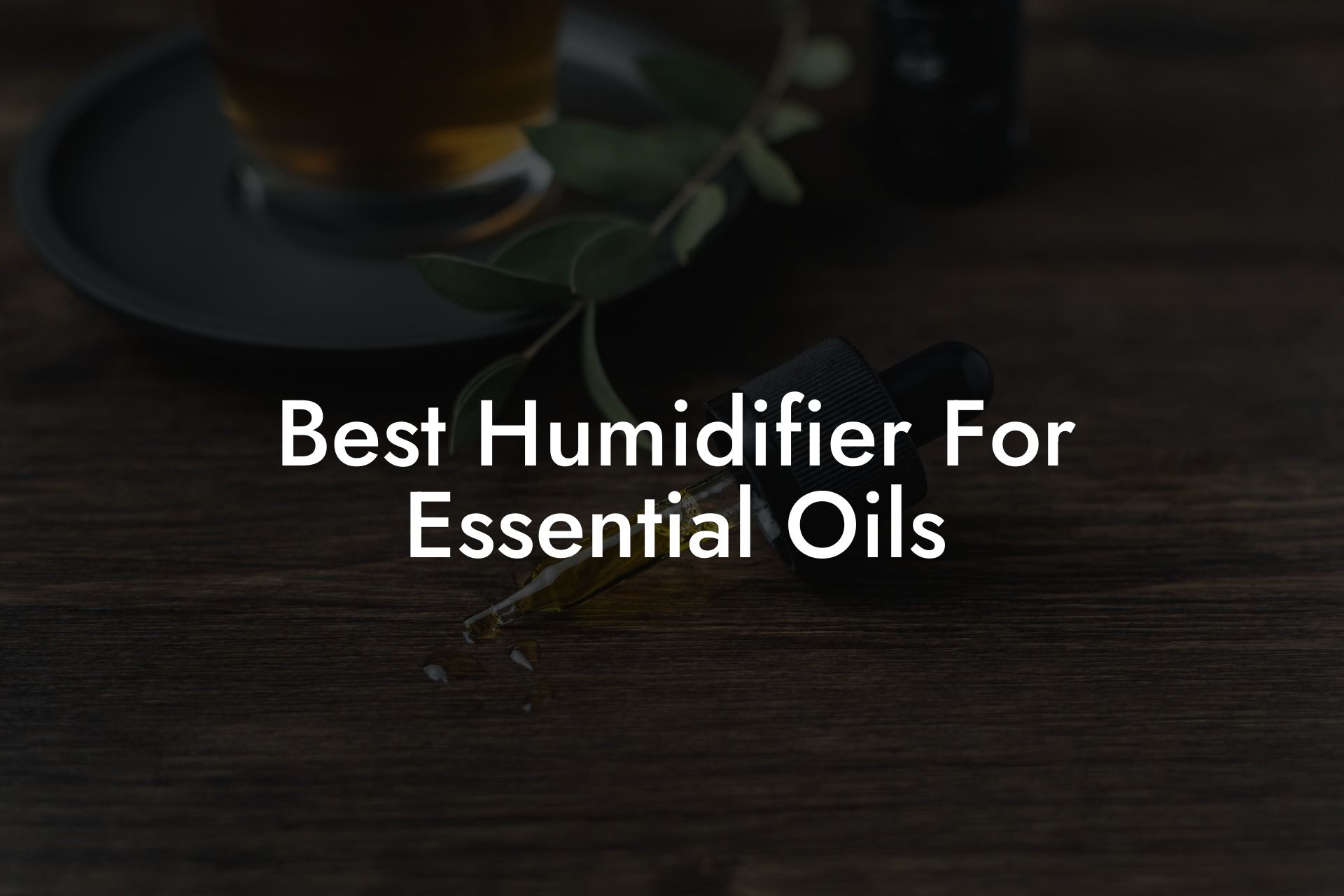 Best Humidifier For Essential Oils