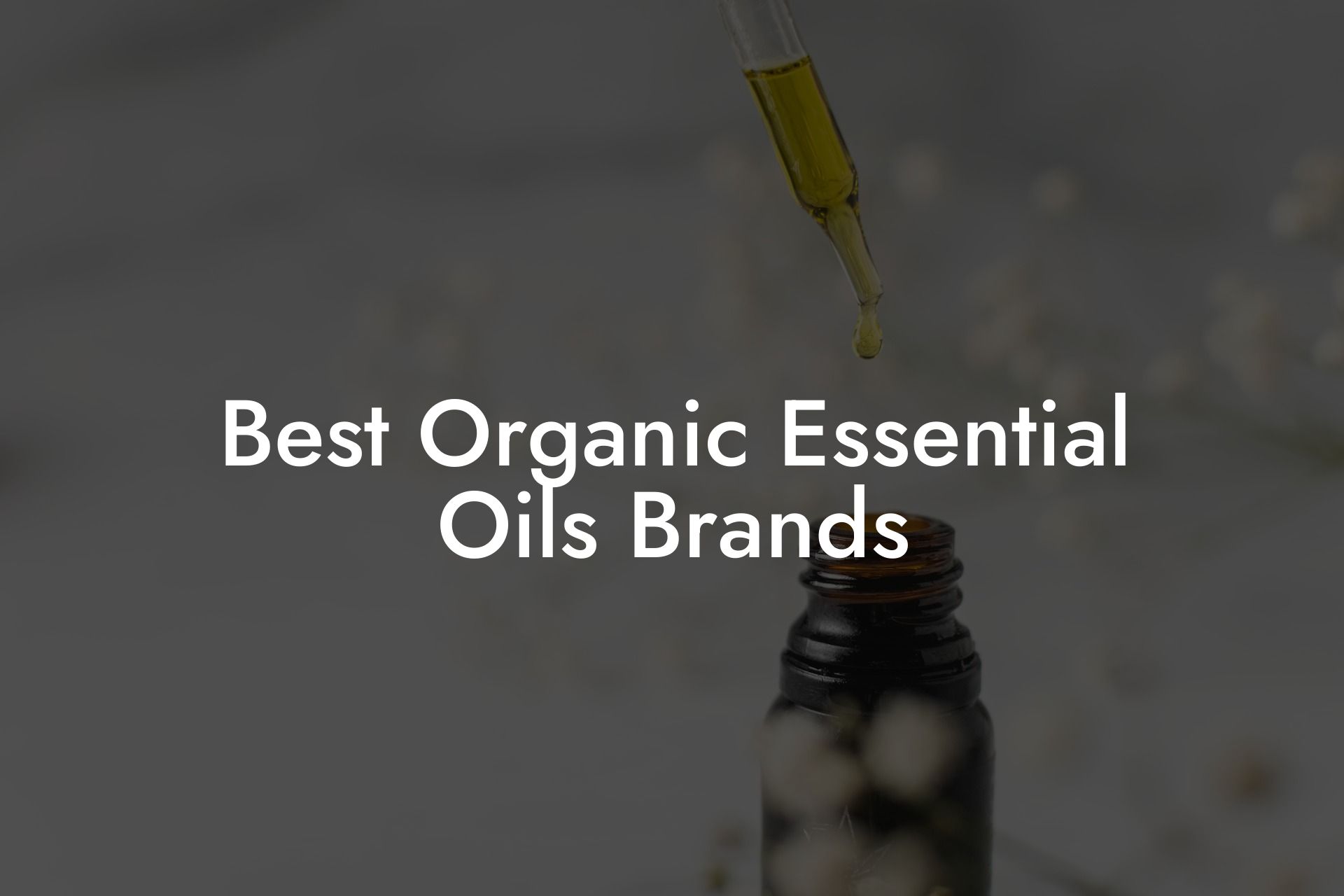 Best Organic Essential Oils Brands