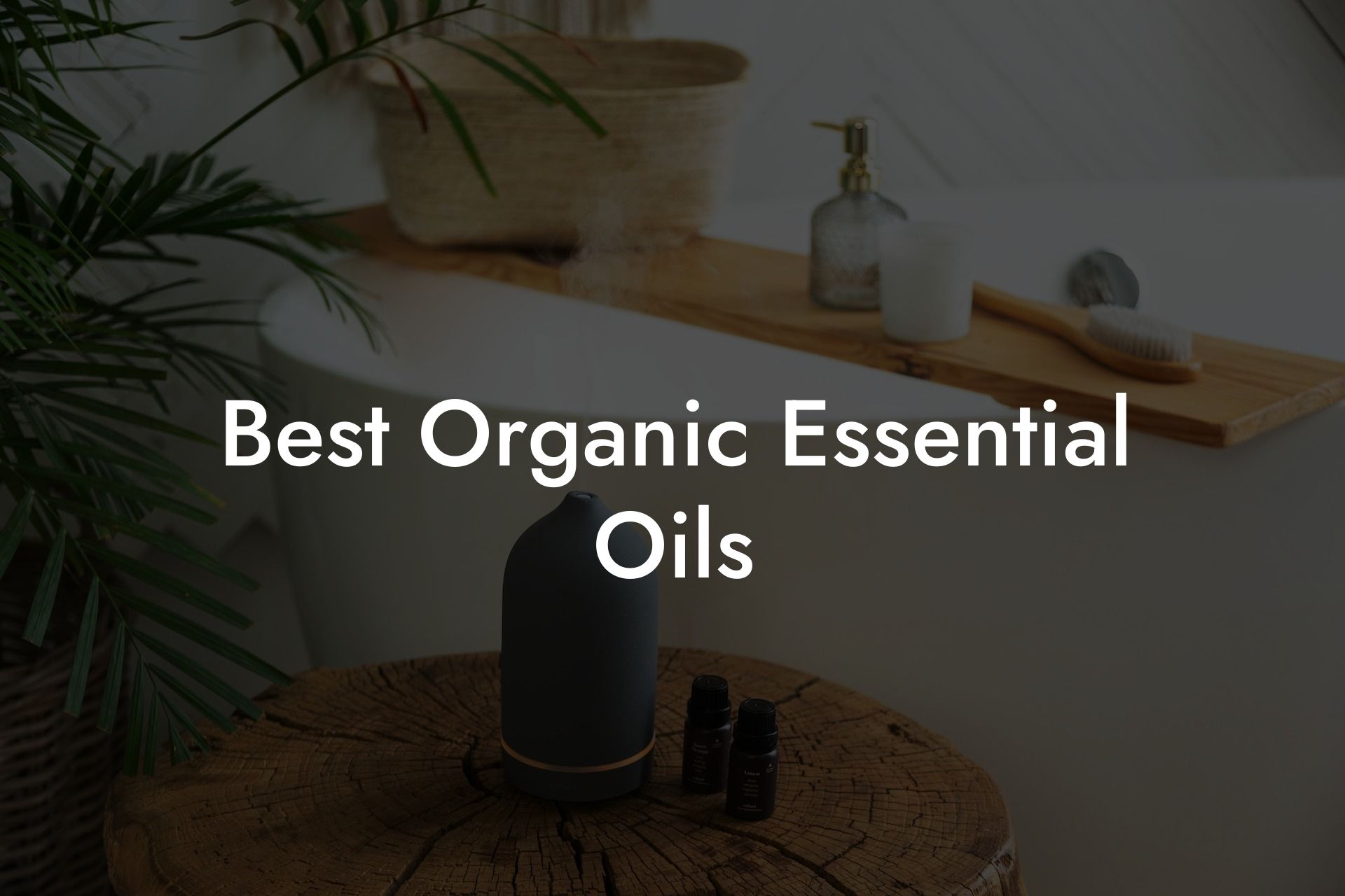 Best Organic Essential Oils