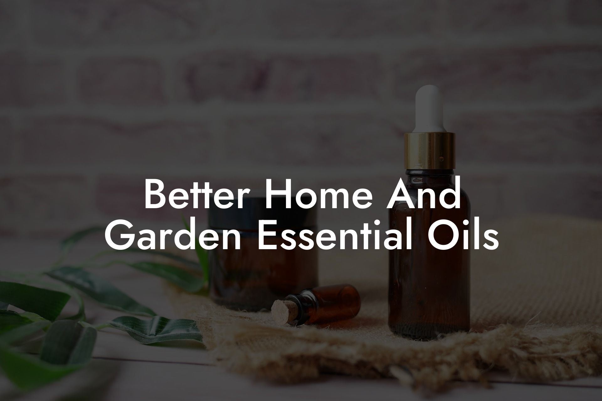 Better Home And Garden Essential Oils