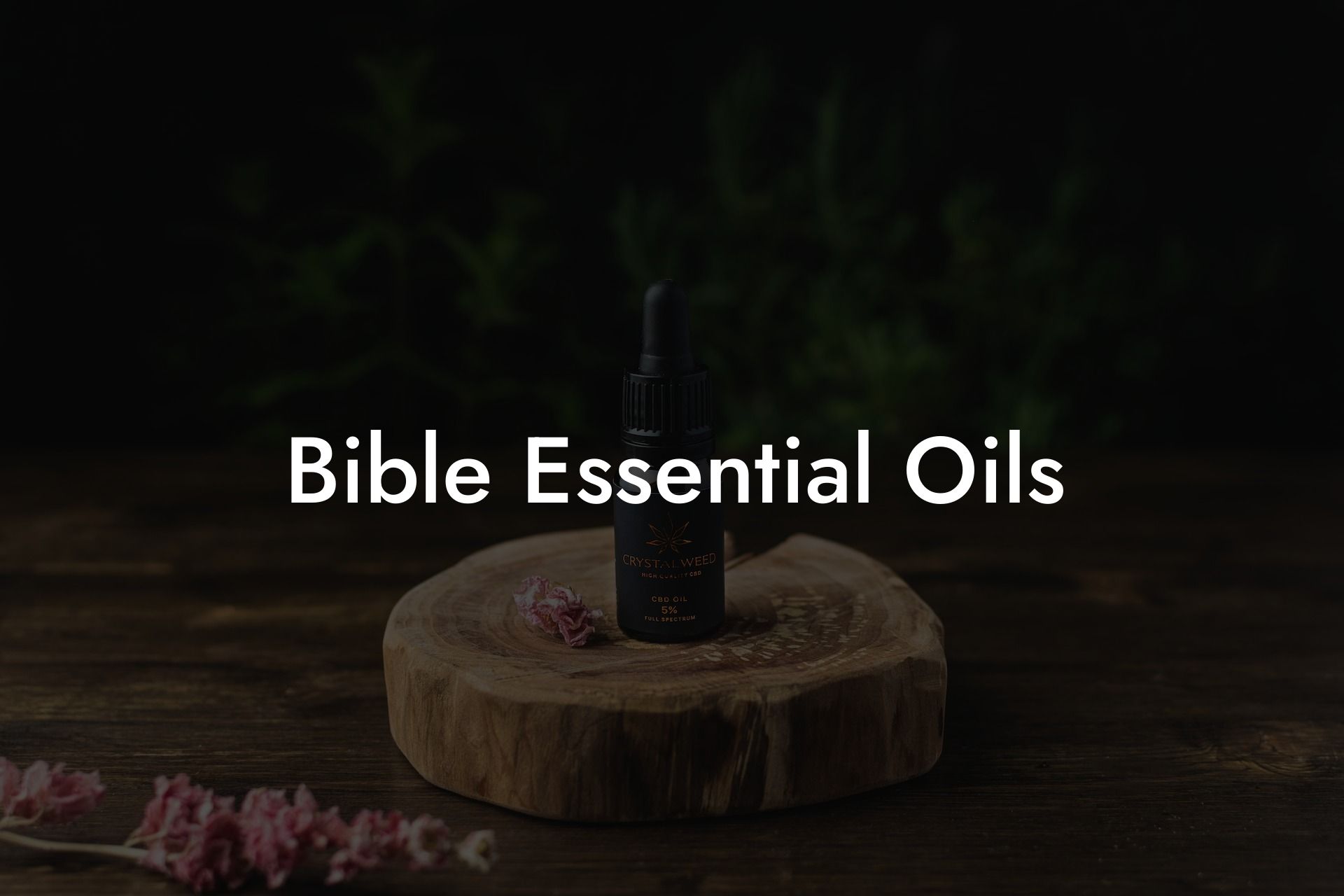 Bible Essential Oils