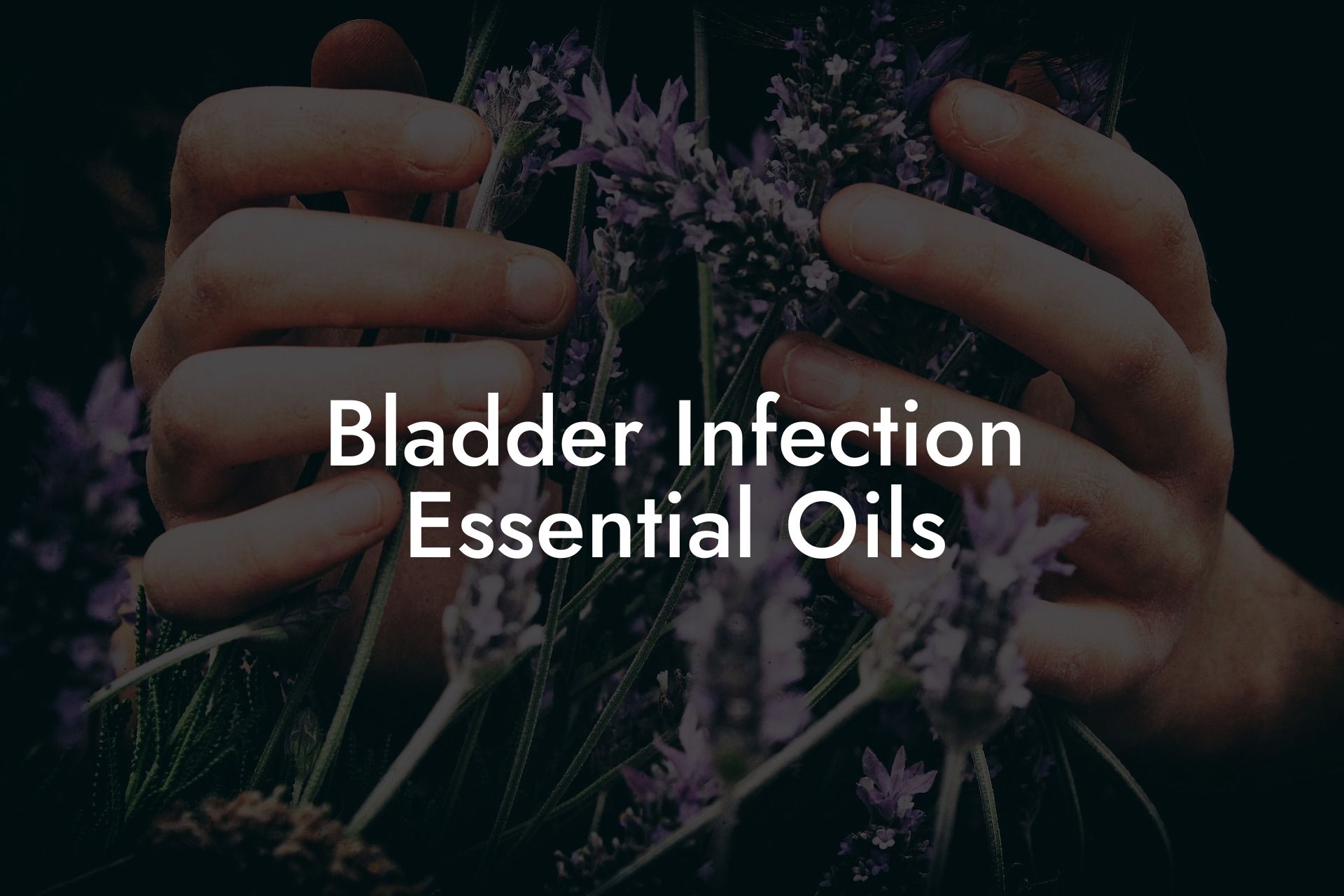 Bladder Infection Essential Oils