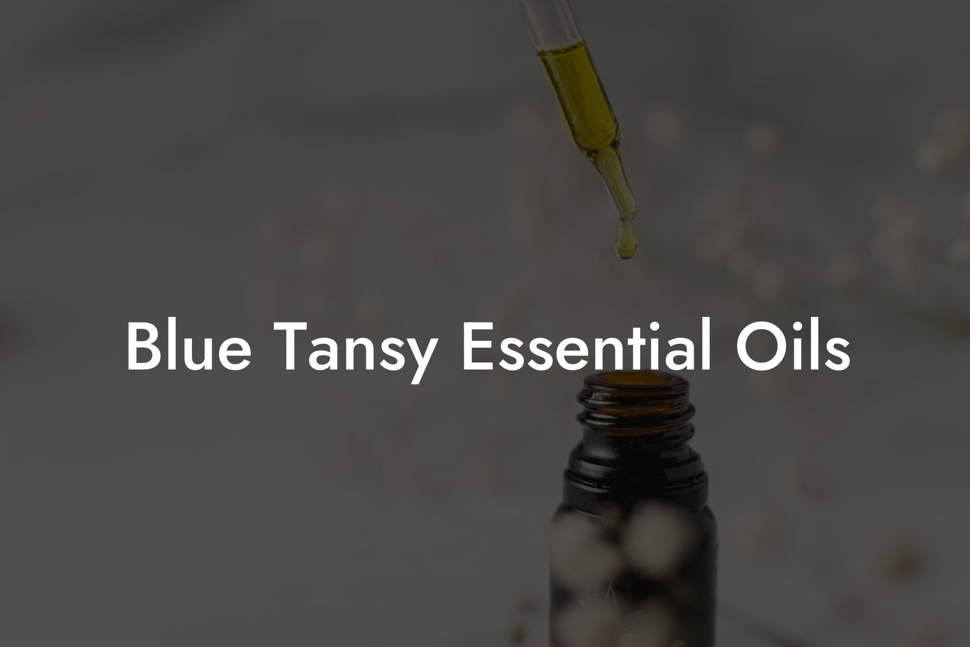 Blue Tansy Essential Oils