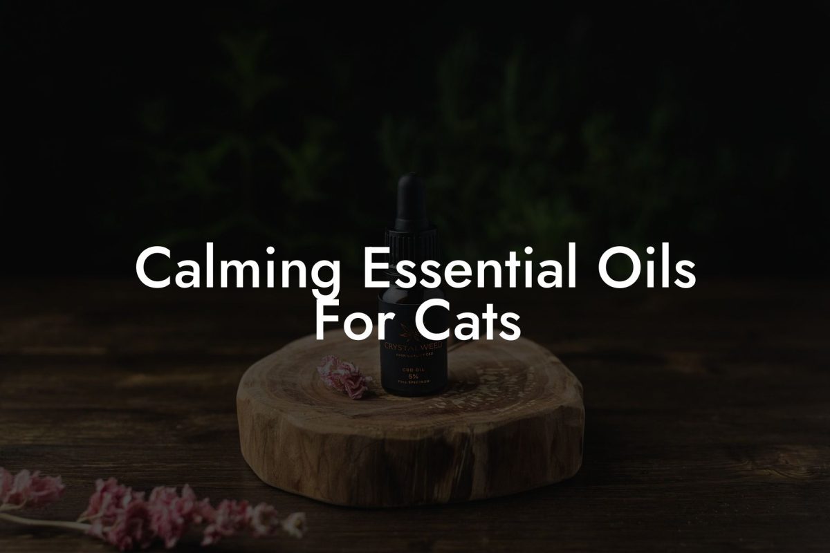 Calming Essential Oils For Cats