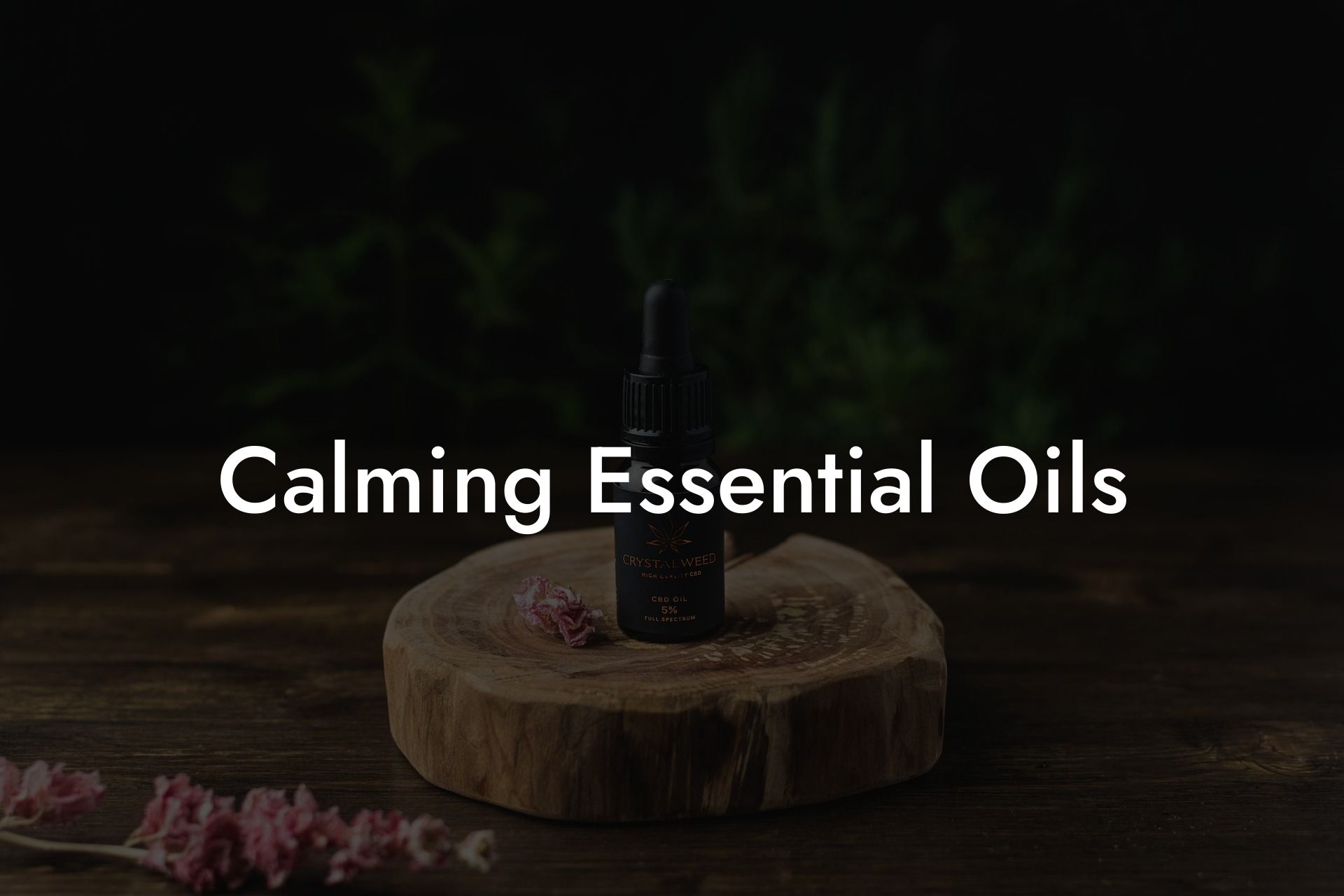 Calming Essential Oils