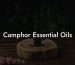 Camphor Essential Oils