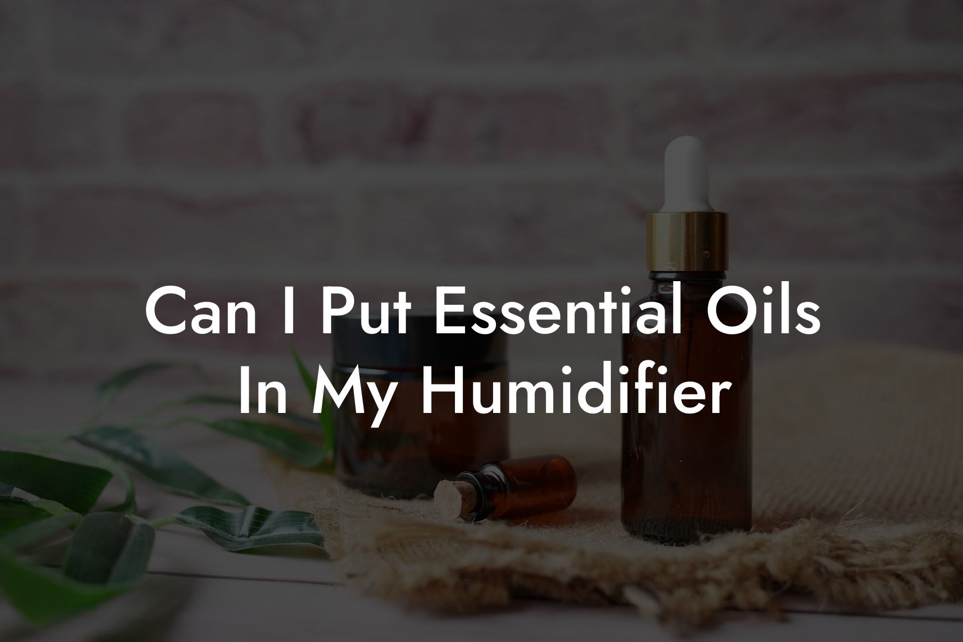 Can I Put Essential Oils In My Humidifier