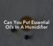Can You Put Essential Oils In A Humidifier