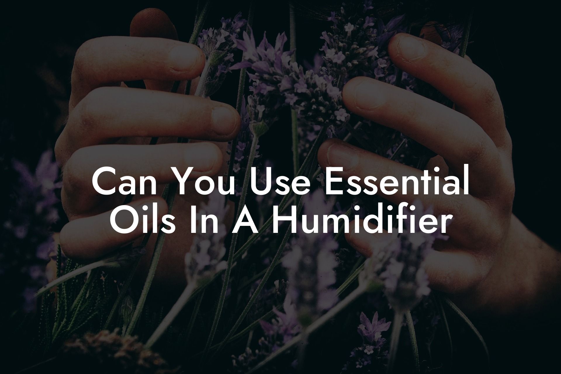 Can You Use Essential Oils In A Humidifier