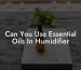 Can You Use Essential Oils In Humidifier
