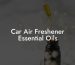 Car Air Freshener Essential Oils