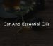 Cat And Essential Oils