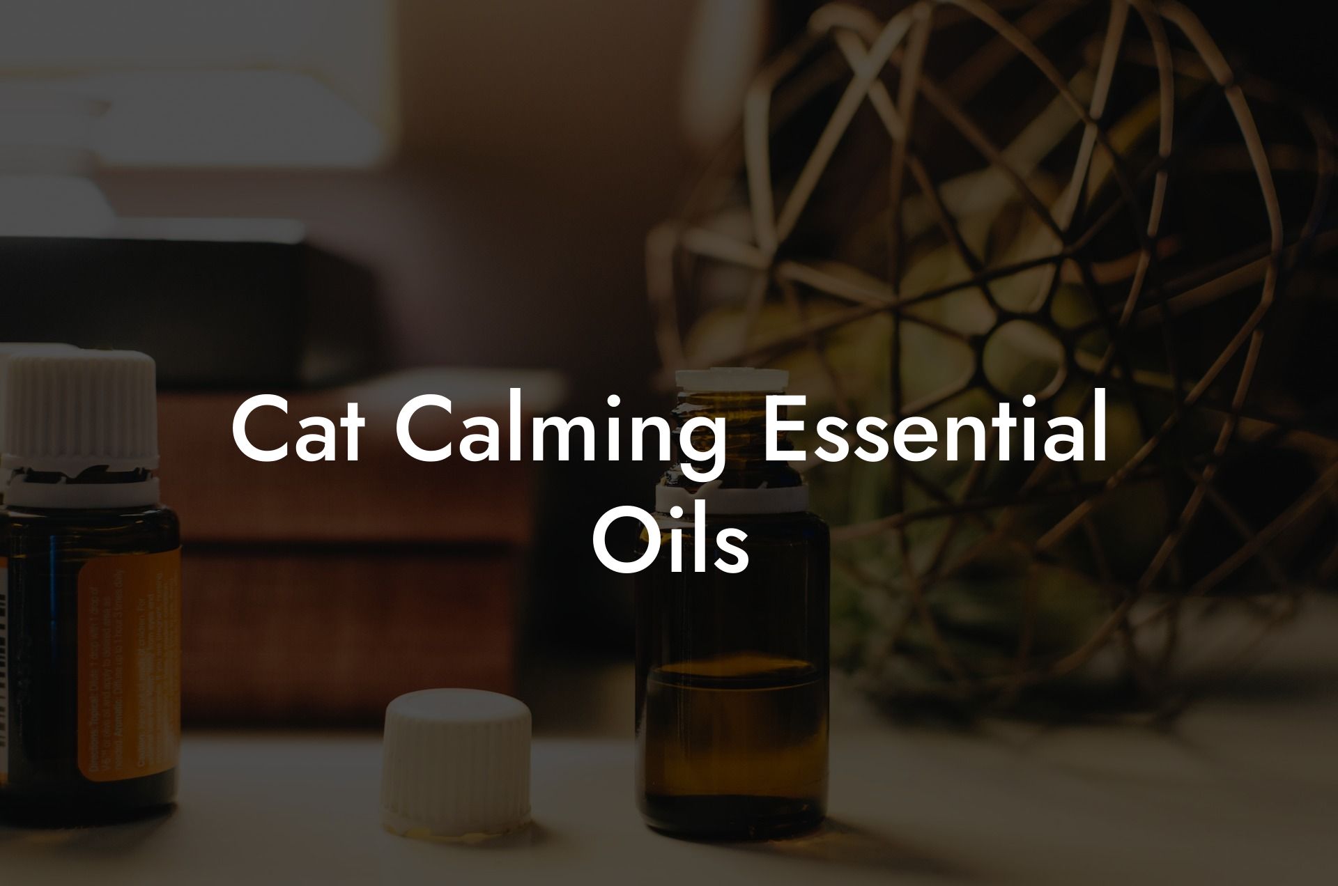 Cat Calming Essential Oils