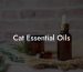 Cat Essential Oils