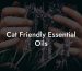Cat Friendly Essential Oils