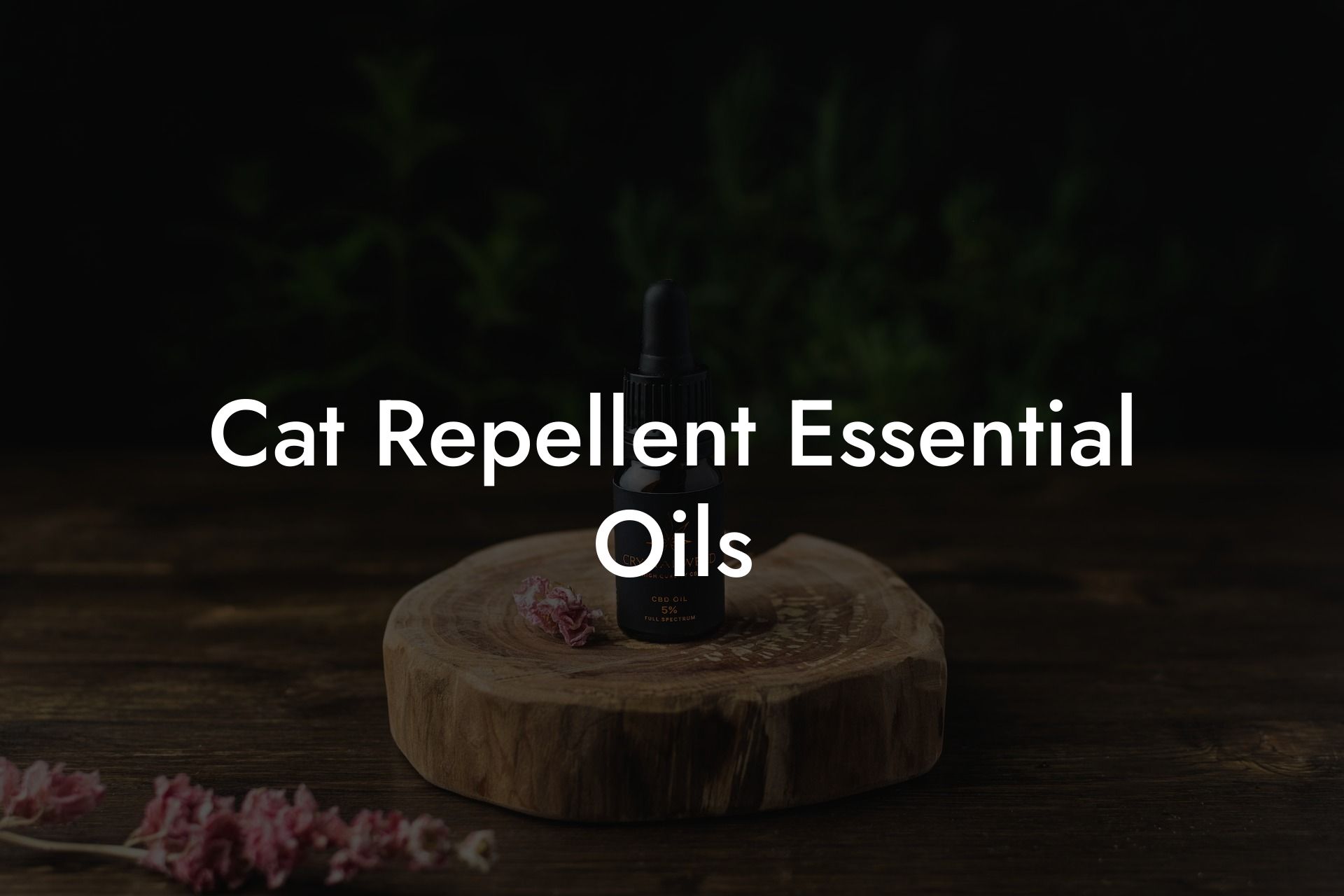 Cat Repellent Essential Oils