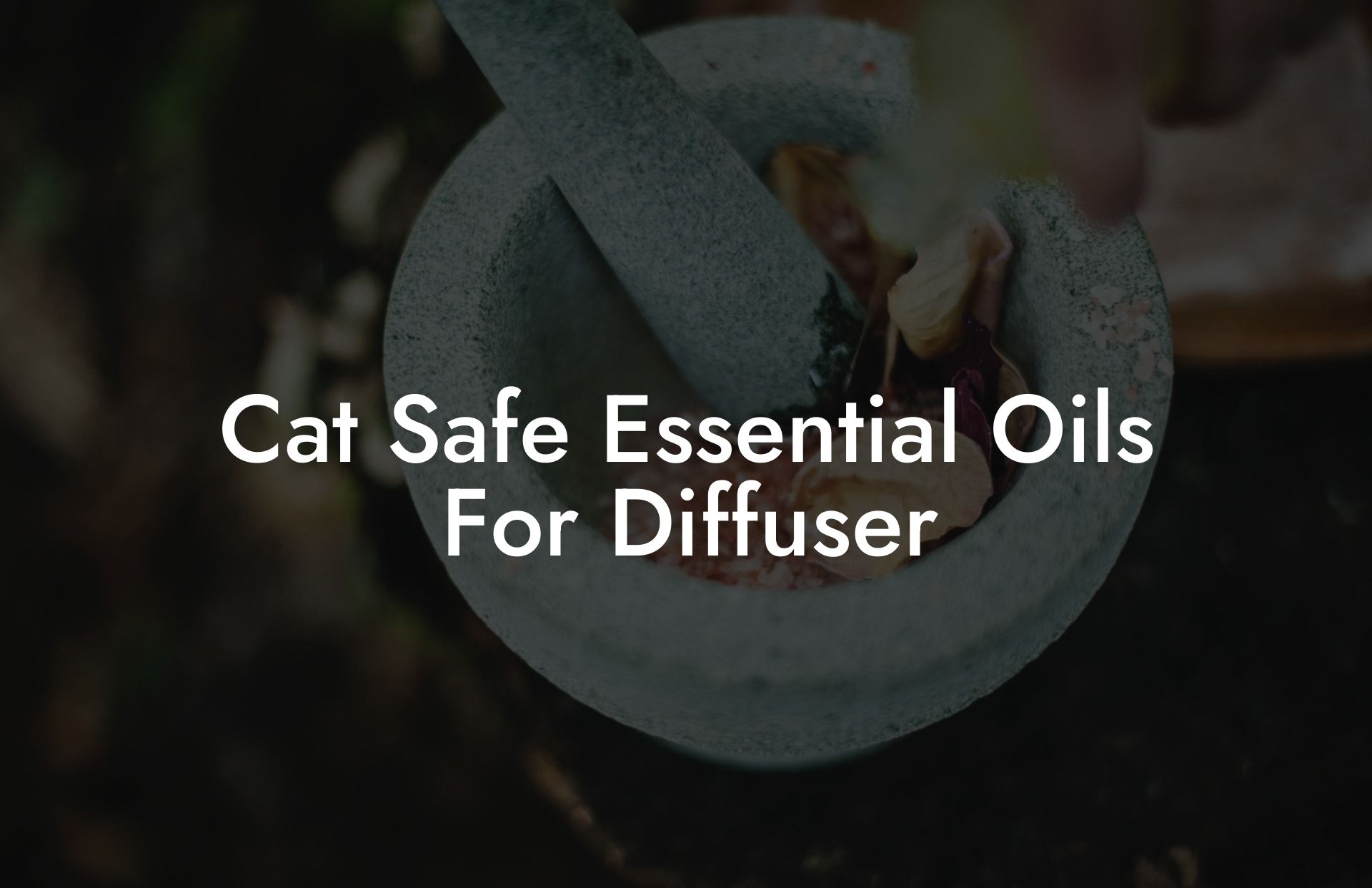 Cat Safe Essential Oils For Diffuser