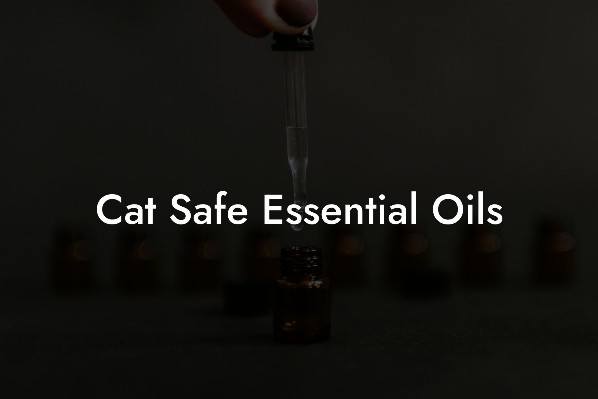 Cat Safe Essential Oils