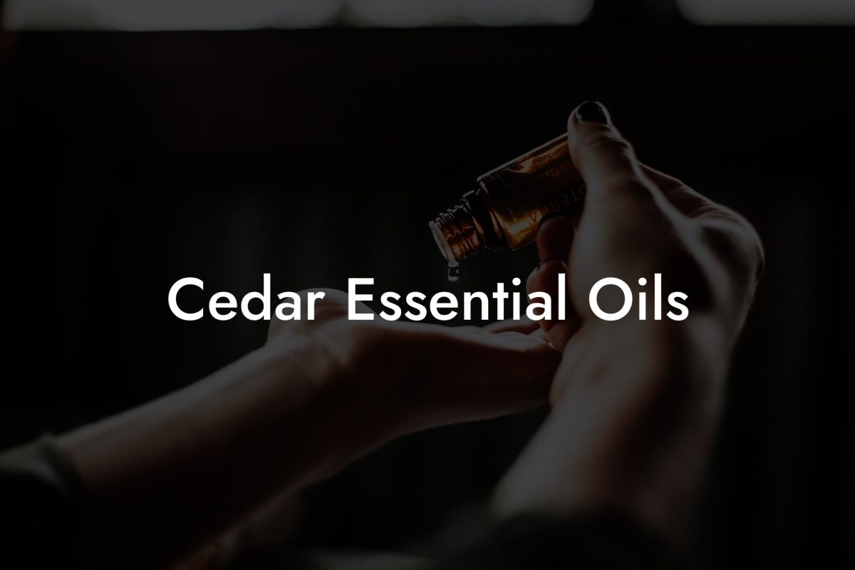 Cedar Essential Oils