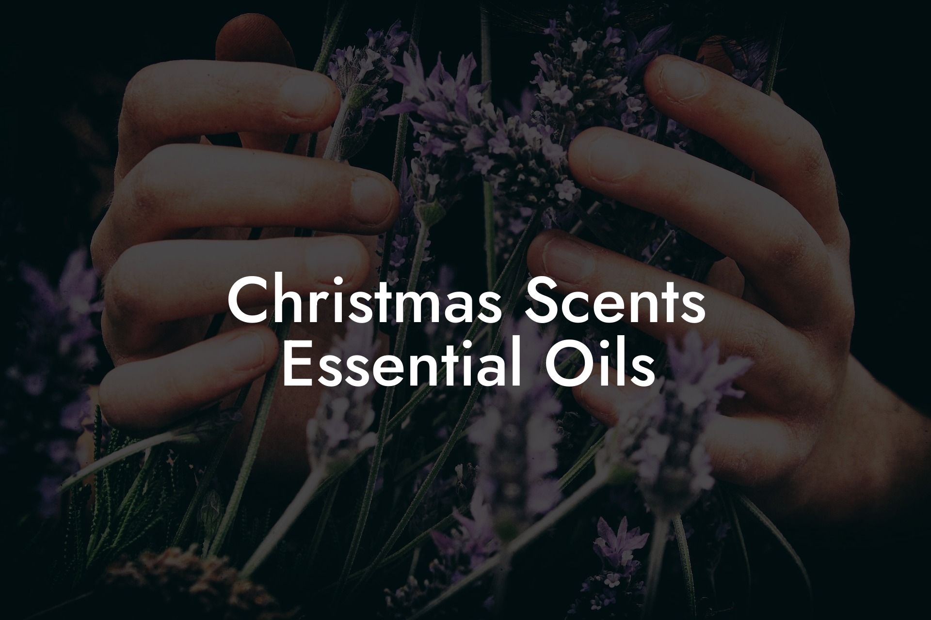 Christmas Scents Essential Oils