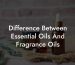 Difference Between Essential Oils And Fragrance Oils