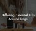 Diffusing Essential Oils Around Dogs