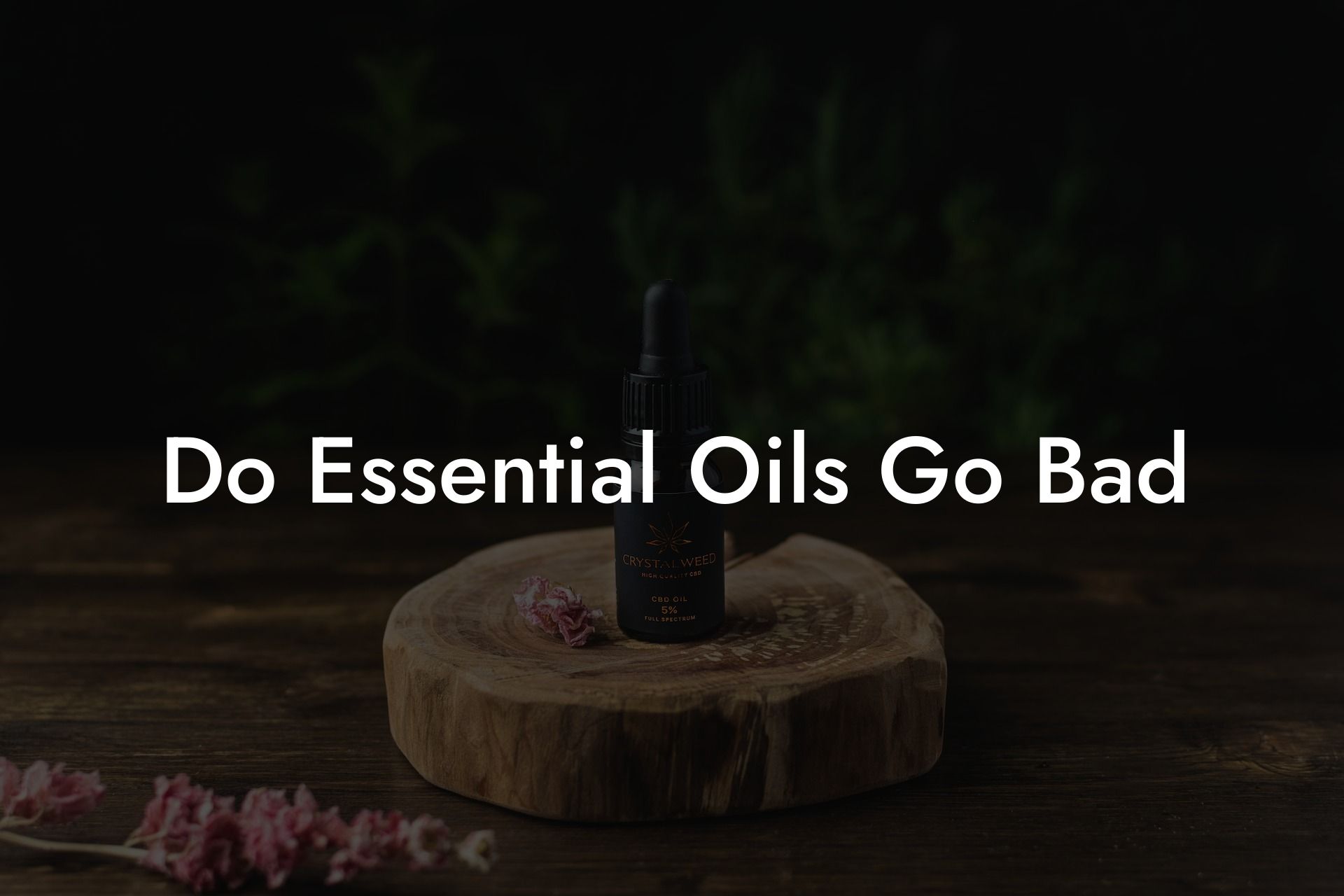 Do Essential Oils Go Bad