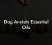 Dog Anxiety Essential Oils
