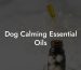 Dog Calming Essential Oils