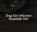 Dog Ear Infection Essential Oils