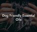 Dog Friendly Essential Oils